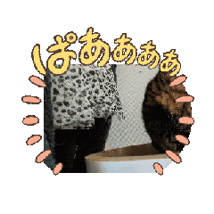 [LINEスタンプ] 動くかわいい猫さんスタンプ❤️