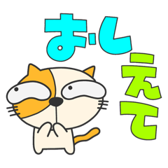 [LINEスタンプ] ねこたまの日常①⭐︎あきたま