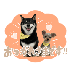 [LINEスタンプ] リリーといっしょ