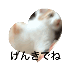 [LINEスタンプ] ミイくんでっす