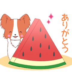 [LINEスタンプ] ちびパピヨン11【夏】