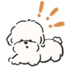 [LINEスタンプ] もちもちの白い犬