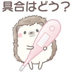 [LINEスタンプ] 毎日使える＊やさしいハリネズミのスタンプ