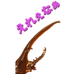 [LINEスタンプ] 江戸っ子なヘラクレスオオカブトーBIG