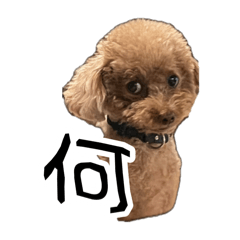 [LINEスタンプ] ばーにーくんのすたんぷ。