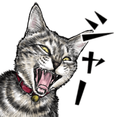 [LINEスタンプ] 意外と使えるリアルシャー猫