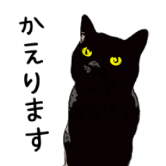 [LINEスタンプ] 黒猫の帰るコールスタンプ