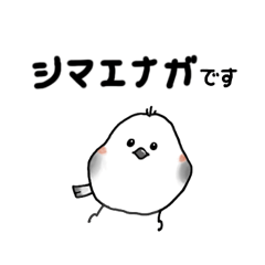 [LINEスタンプ] こんにちはシマエナガさん(ダークモード用)