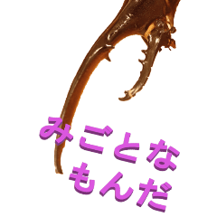 [LINEスタンプ] 江戸っ子なヘラクレスオオカブト3ーBIG