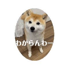 [LINEスタンプ] ちゃったんスタ