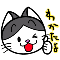 [LINEスタンプ] ねこ日和 ハチワレ編2