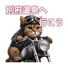 [LINEスタンプ] バイクに乗る猫【九州/ツーリング】