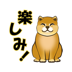 [LINEスタンプ] 柴犬 スタンプ2-動画