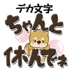 [LINEスタンプ] 柴犬・茶色い犬『デカ文字』よく使う言葉