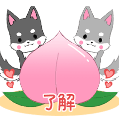 [LINEスタンプ] 飛び出す！ちびハスキー9【夏】