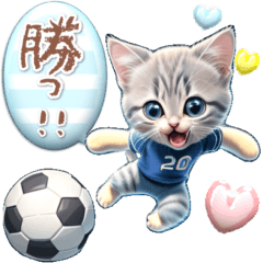 [LINEスタンプ] 【BIG】アニメ猫♡サッカー ふきだし
