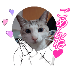 [LINEスタンプ] 猫のお家