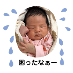 [LINEスタンプ] にっちゃん寝顔スタンプ