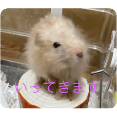 [LINEスタンプ] ハムブラザーズ2024 8