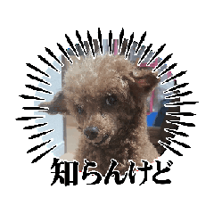 [LINEスタンプ] アンティの日常