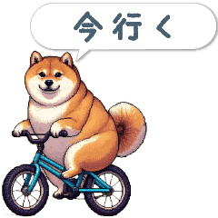 [LINEスタンプ] 毎日使えるふきだし柴犬【挨拶・連絡用】