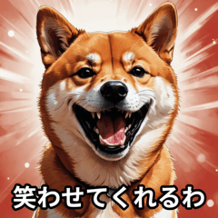 [LINEスタンプ] ちょっと生意気な柴犬