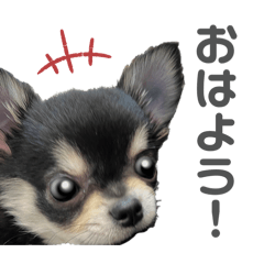 [LINEスタンプ] チクワのきもち6の画像（メイン）