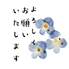 [LINEスタンプ] 敬語スタンプ文字ver.と花添えver.