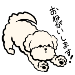 [LINEスタンプ] 白もこわんこ