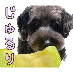 [LINEスタンプ] どーら2