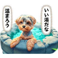 [LINEスタンプ] ヨーキーの秋から冬に活躍するスタンプ1