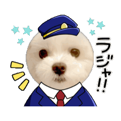 [LINEスタンプ] 動く⭐︎モカロイ兄弟①