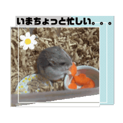 [LINEスタンプ] うごく はむすたーちゃん