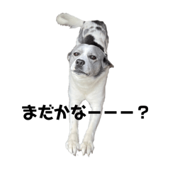 [LINEスタンプ] おれ、ハッテン