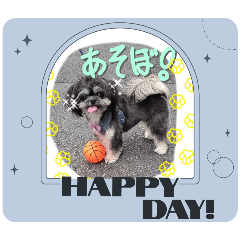 [LINEスタンプ] 愛犬Roko①