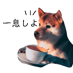 [LINEスタンプ] 柴犬の日常 vol.1