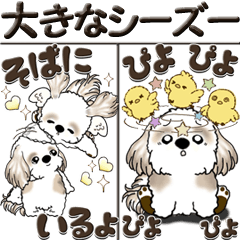 [LINEスタンプ] 【Big】シーズー犬『big shih tzu』の画像（メイン）