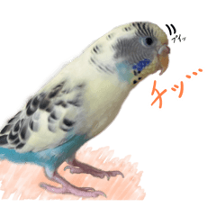 [LINEスタンプ] 個性を出したい人におくるインコスタンプ4