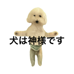 [LINEスタンプ] 態度がお前の器よりでかい犬 (変更ver）の画像（メイン）