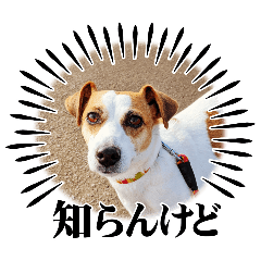 [LINEスタンプ] ランのつぶやき