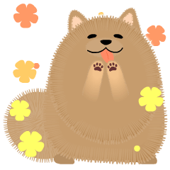 [LINEスタンプ] 動く☆かわいいポメラニアン