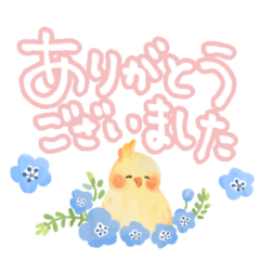 [LINEスタンプ] やさしい手書き文字♡幸せインコのスタンプの画像（メイン）