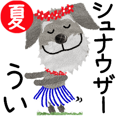 [LINEスタンプ] シュナウザー[うい]の夏の応援スタンプ2024