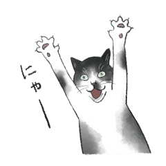 [LINEスタンプ] 白黒猫ミルのご挨拶:D