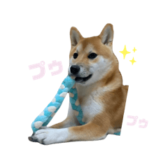 [LINEスタンプ] 柴犬よつばスタンプ2