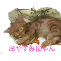[LINEスタンプ] にゃんかわいいニャン2