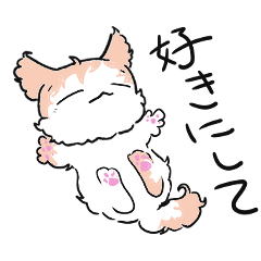 [LINEスタンプ] くせ毛猫のはっきり、使いやすいスタンプ2