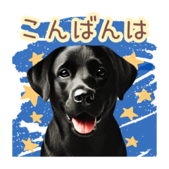 [LINEスタンプ] 日常スタンプ 黒ラブ