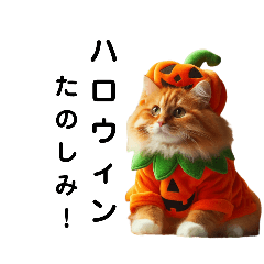 [LINEスタンプ] 秋を楽しむねこたち