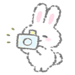 [LINEスタンプ] 写真用白いこうさぎスタンプ